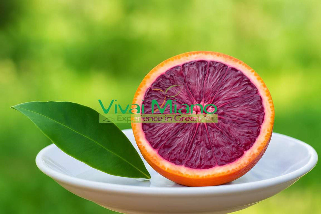 Moro červený pomerančovník nebo sicilský červený pomeranč