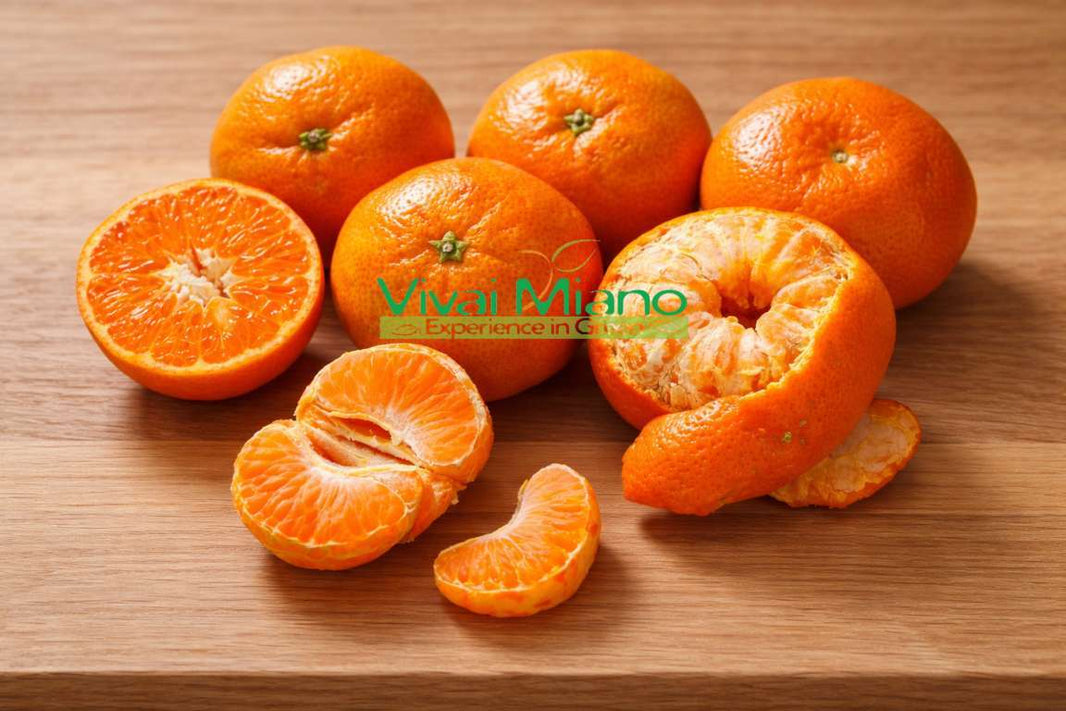 Mandarinkovník Satsuma Miyagawa (květináč – 20)
