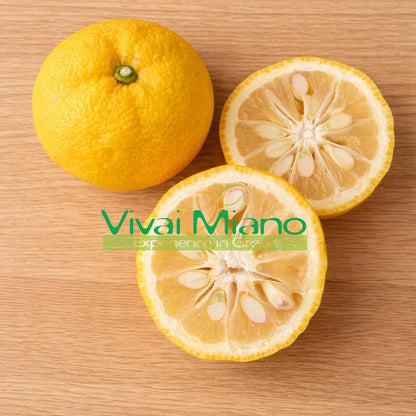 Rostlina Yuzu - Japonský citron (květináč - 20)