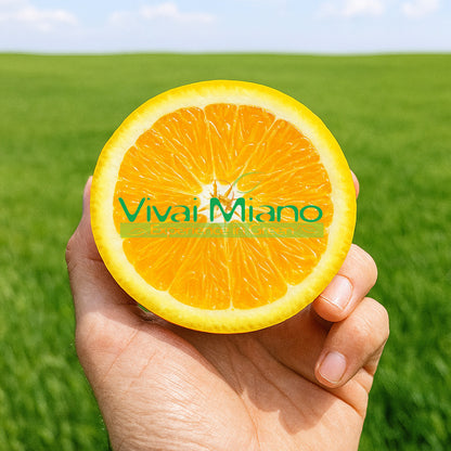 Sazenice pomerančovníku Lane Late