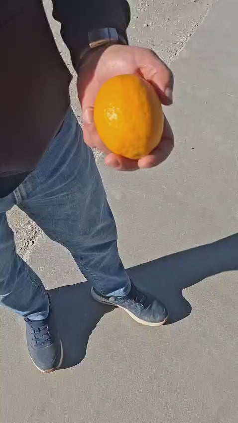 Načíst video: 